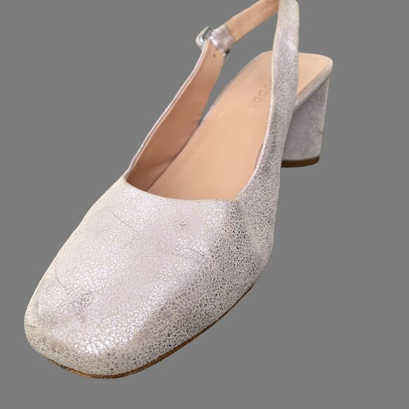 KK DODDS Genevieve - Peonia - Picture 12 of 13